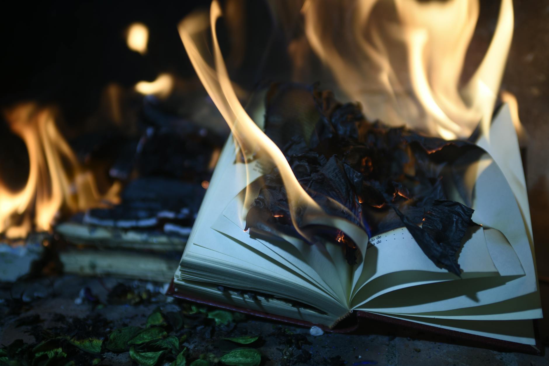 Knowledge on fire: why do book burnings happen?