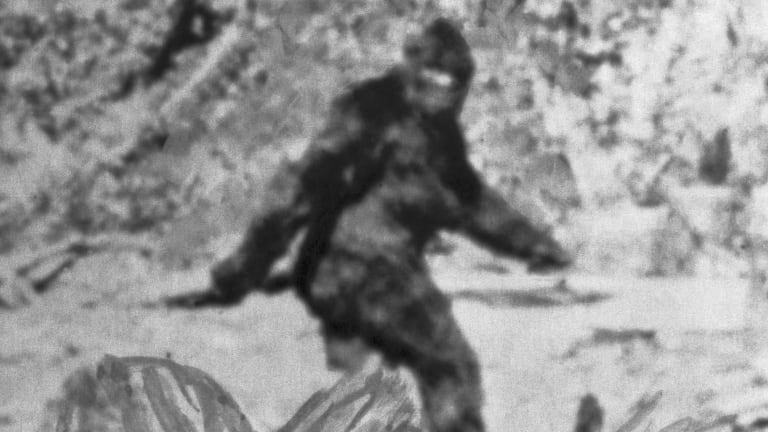 Folkloric Bigfoot: Legends, Origins, and Importance