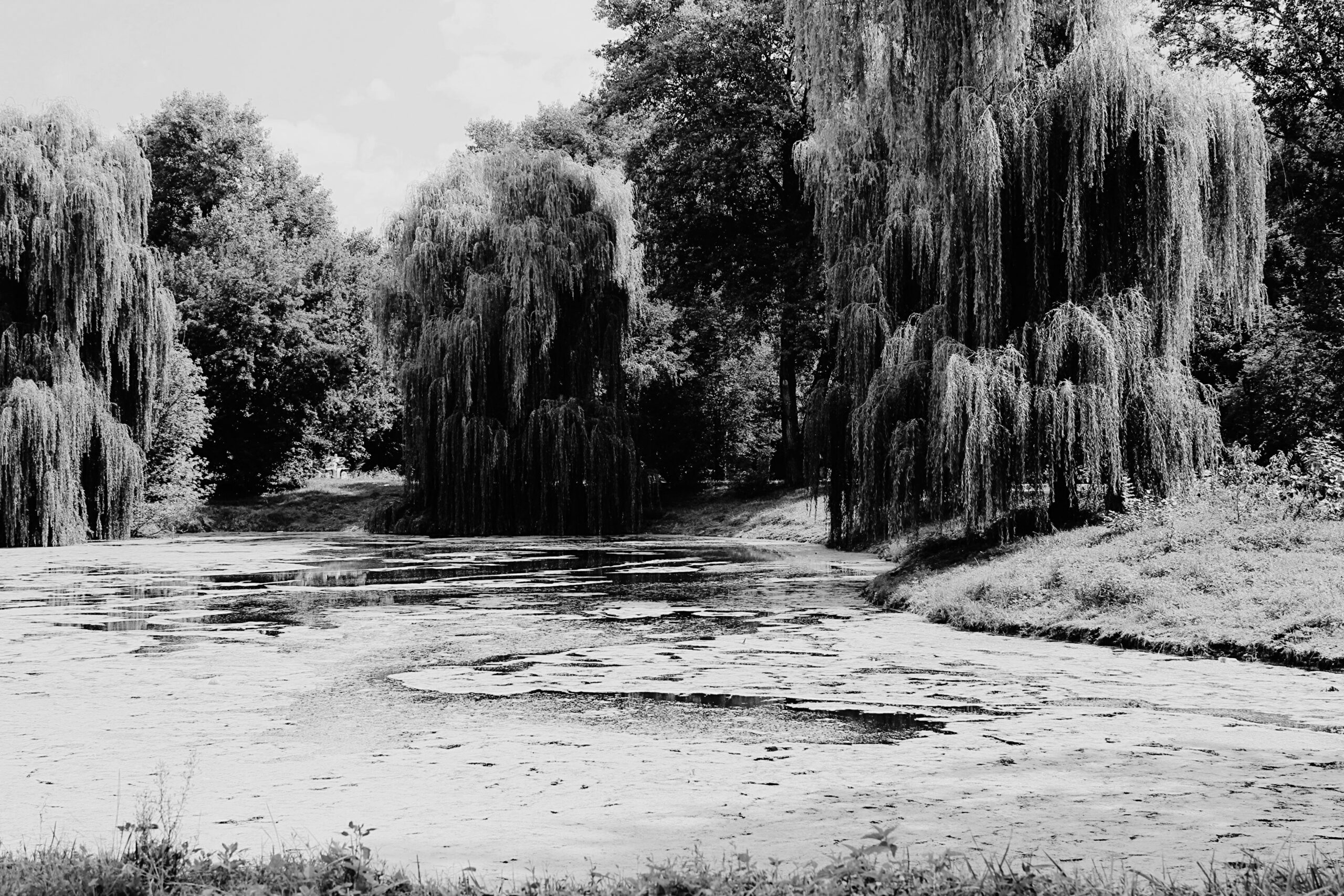 “The Willows” by Algernon Blackwood: Eeriness, Horror, and Doom