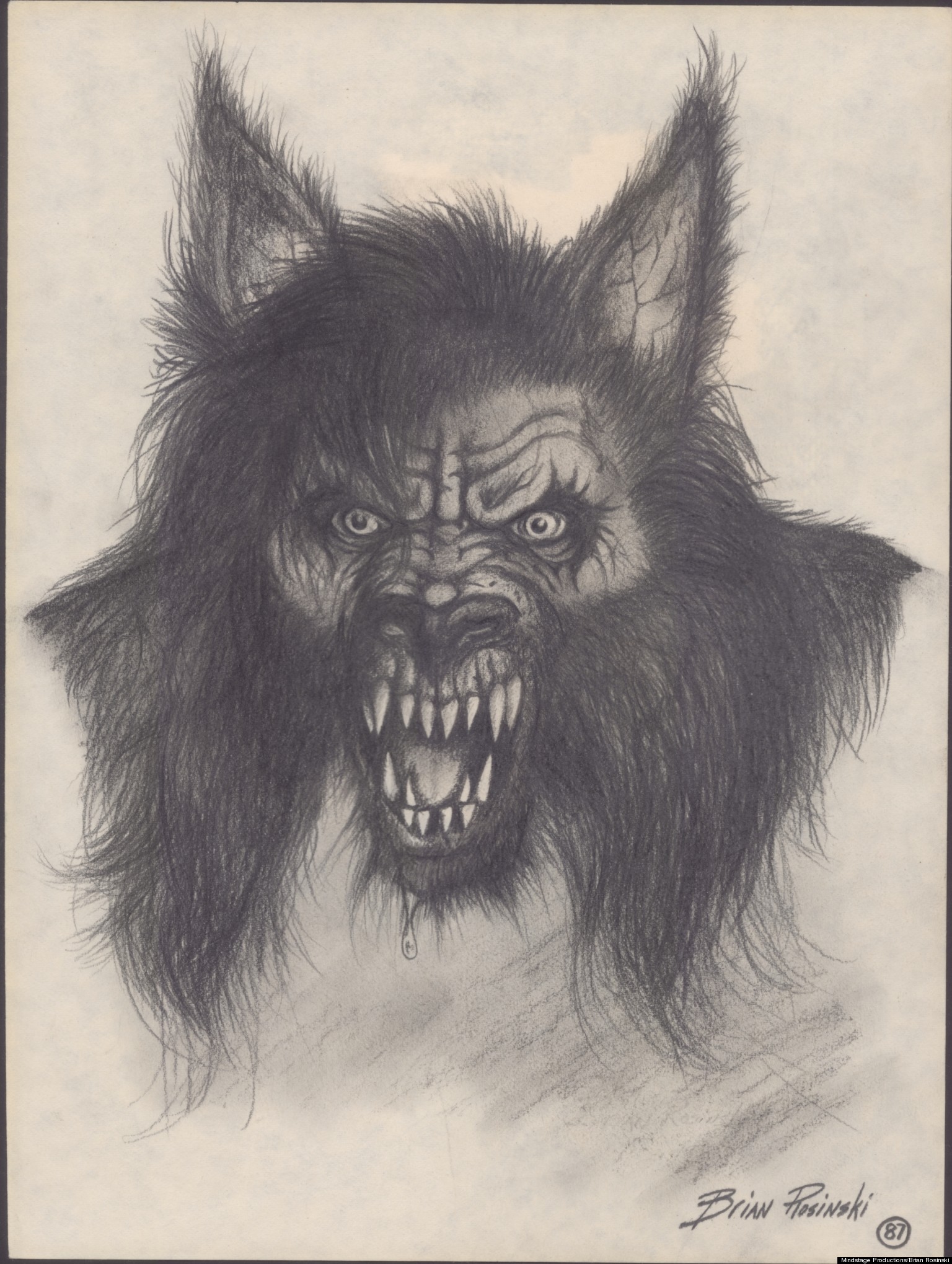 The Michigan Dogman: Mystery and History