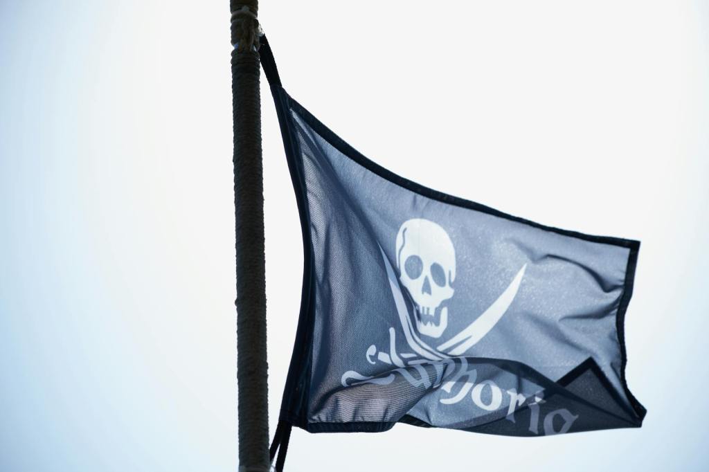 a black and white flag