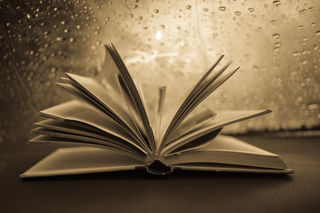 Developing a Writing Voice through Emulation and&nbsp;Immersion