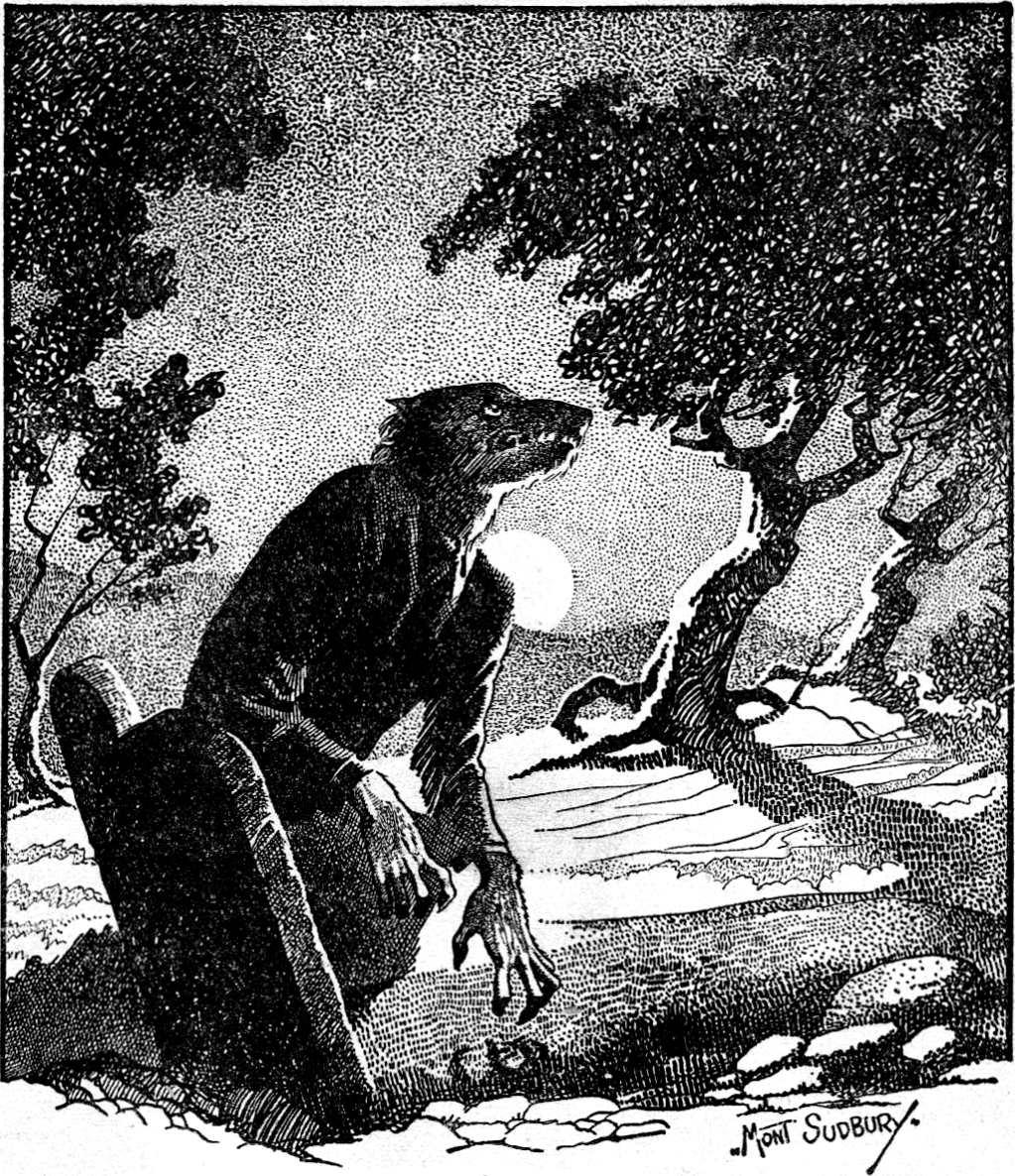 The Violent Crimes of the Werewolf of&nbsp;Bedburg